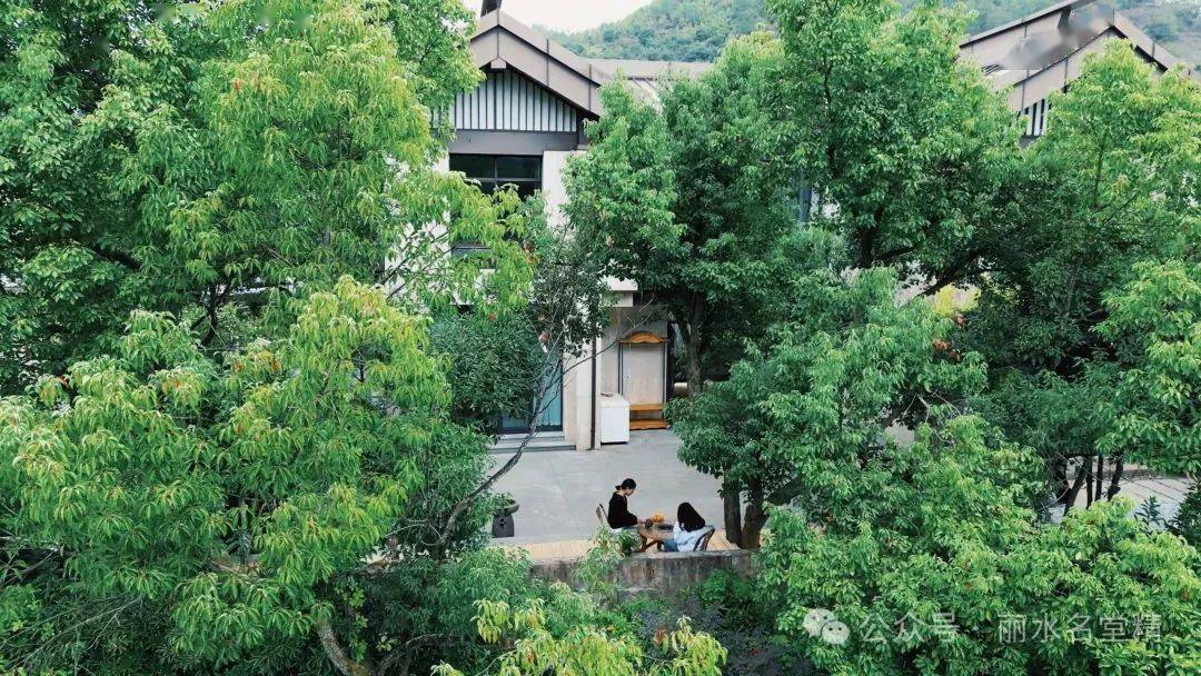 古堰画乡深处的"秘密基地",藏着小众休闲方式_丽水_蓝悦居_景区