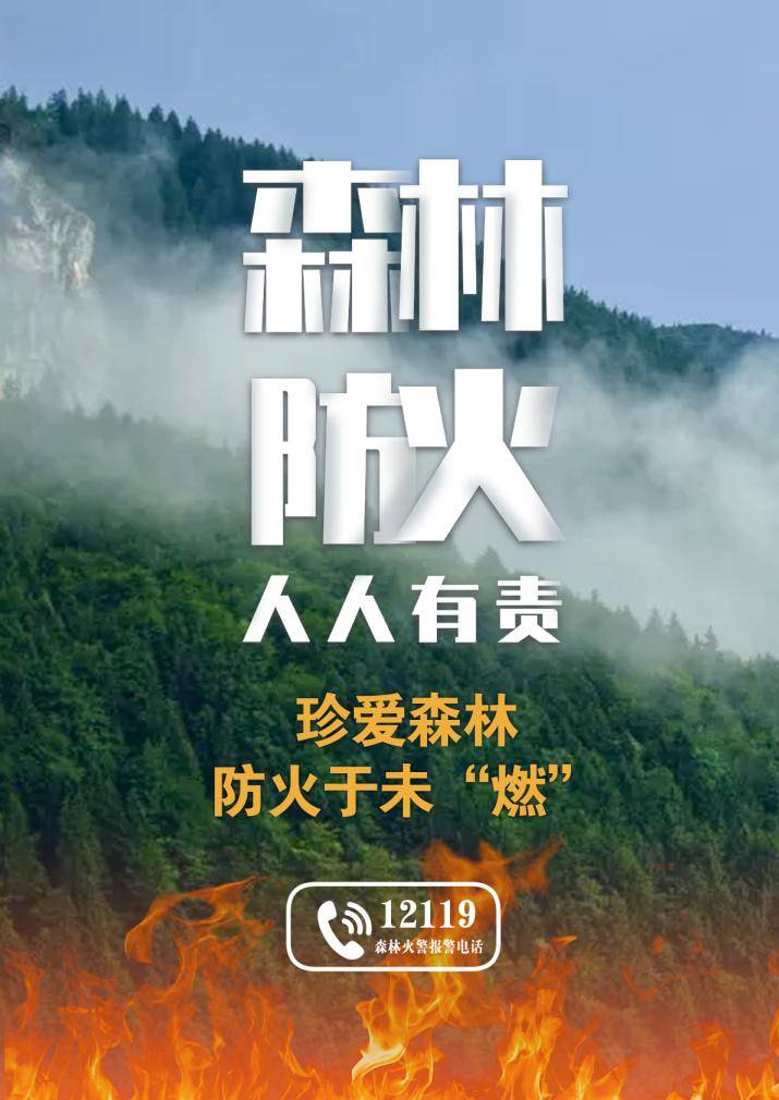 安全提示防患于未燃森林防火人人有责