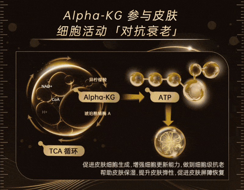 长期主义的最优解是什么麦吉丽用科研力回答