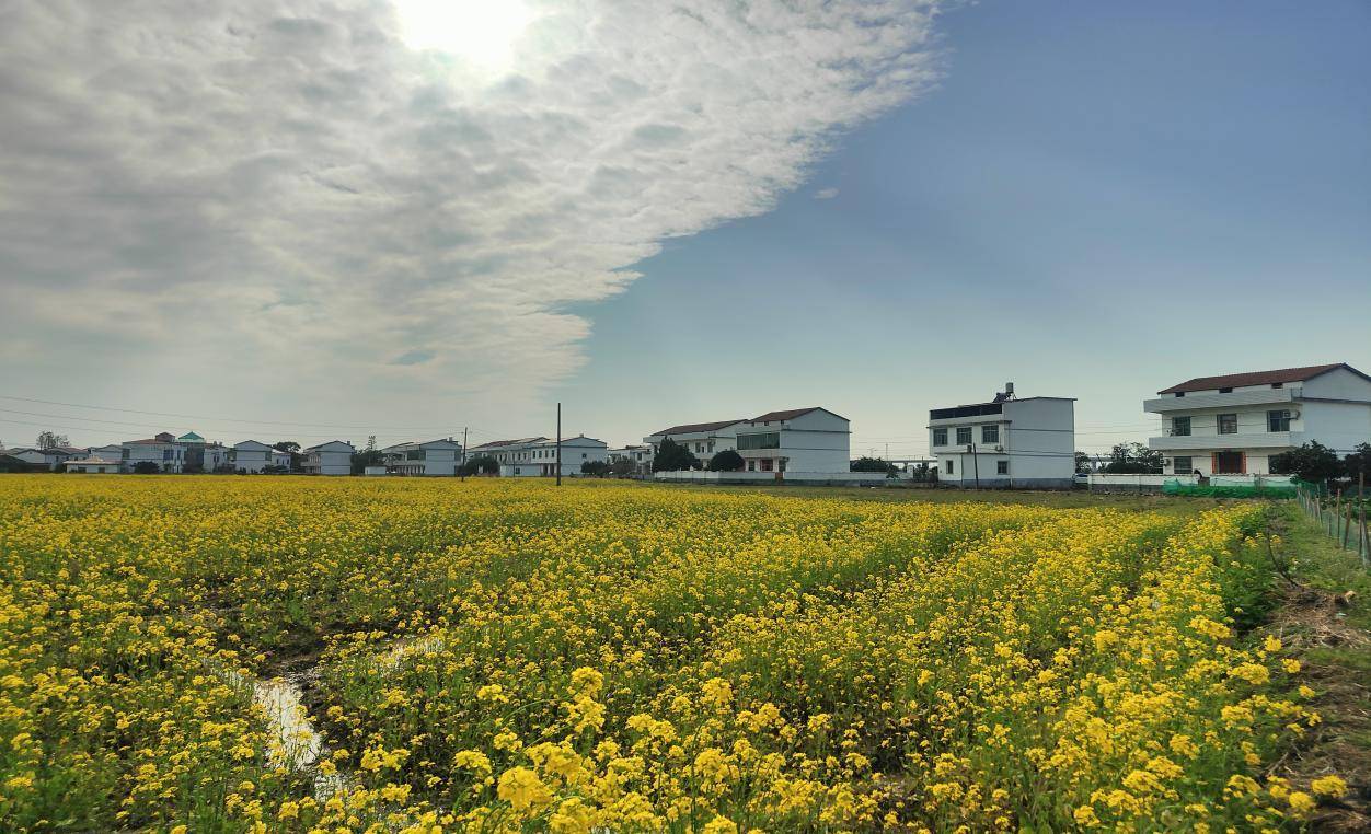 南昌县三江镇修好进村公路推进乡村旅游