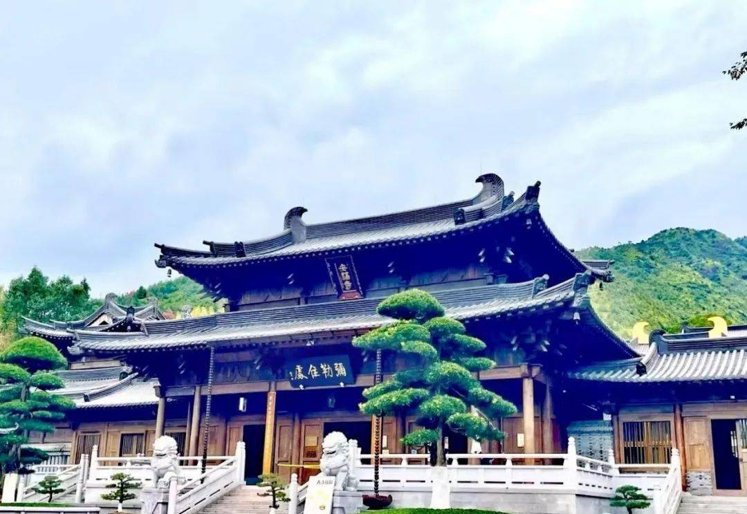 【瓯江潮漫游】禅意山居 安福寺的心境体验