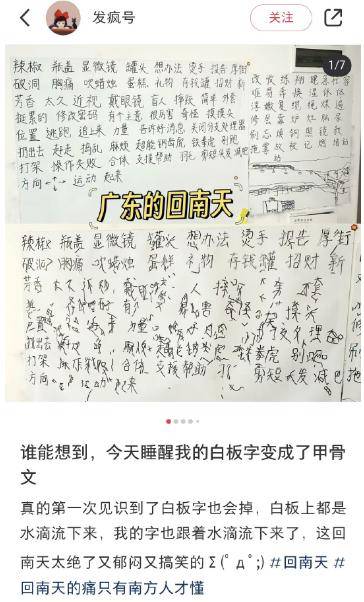 离谱程度刷新下限今年的回南天让南方人和猫都摔进骨科了