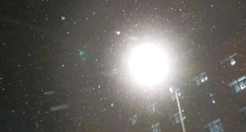 其中本溪地区及宽甸,凤城有小雨或雨夹雪转小雪;大连,营口地区及岫岩