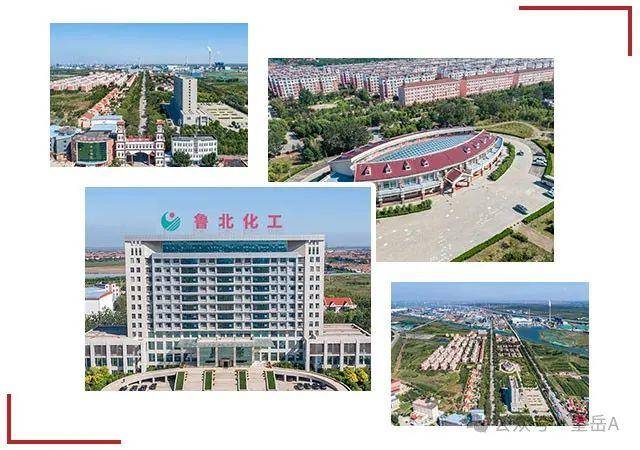 尝到一业务增长甜头,鲁北化工拟再"下注"7亿_扩建_项目_公司