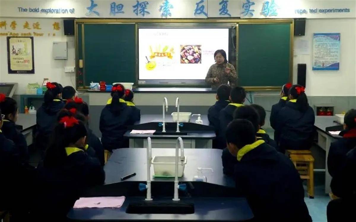 多米体育农业专家带领中小学生种蔬菜！武汉市这场自然劳动实践活动启动(图4)