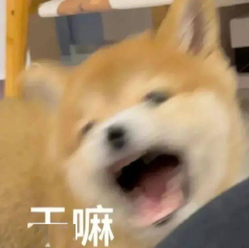 (封面表情包自取)人生每时每刻都在做着决策如果觉得疲倦就让自己休息
