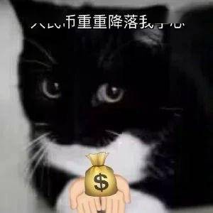 表情包:你们两个能上床吗_微信_方法_相册