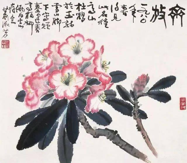她的画,齐白石指点,高迈行云,渐至化境_淑芳_花卉_绘画