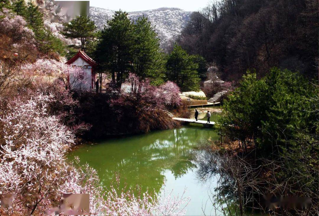 华亭来米家沟莲花湖寻找春天