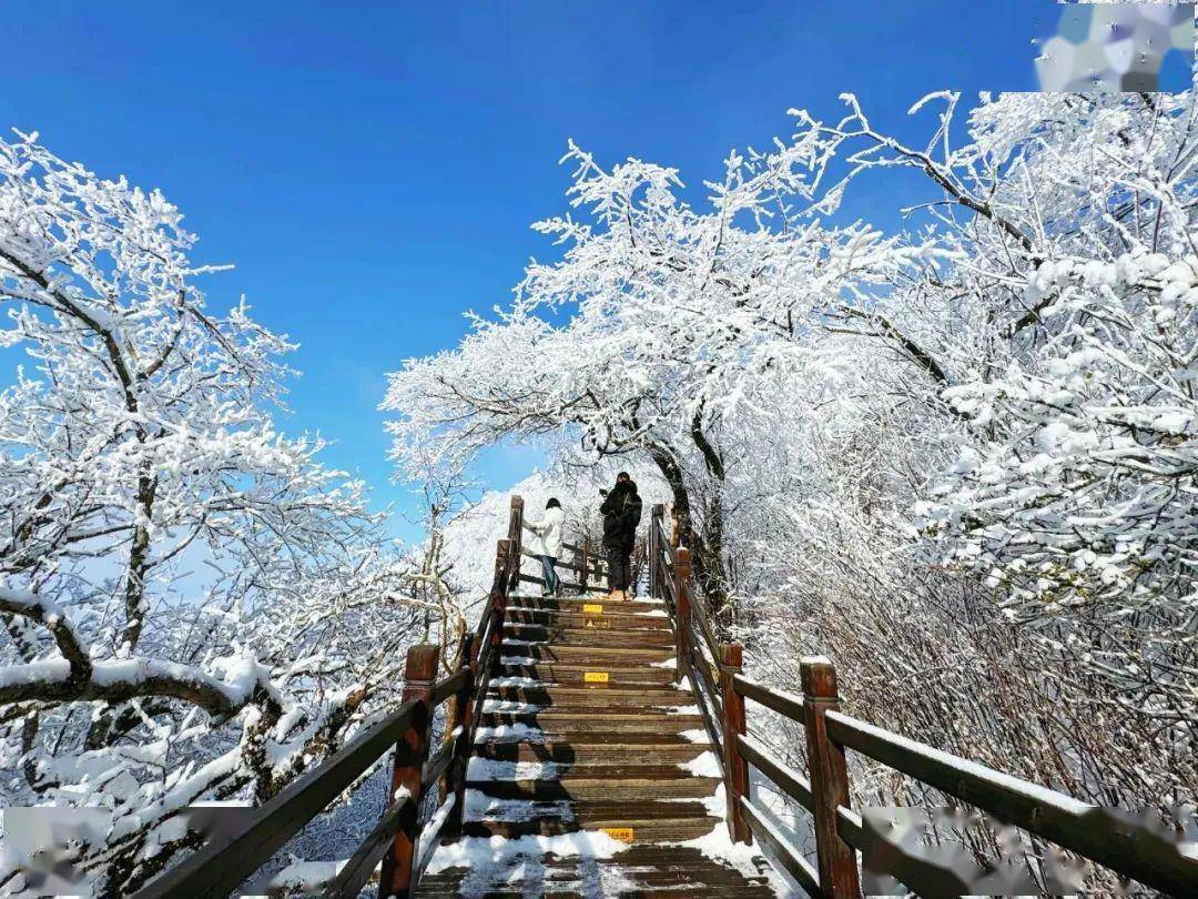 宝鸡龙头山景区图片