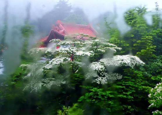 诗词丨夏天的雨,落在了诗词里,美到极致_夏雨_生活_笔下