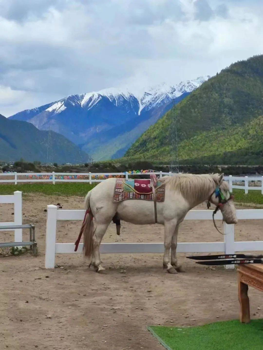 这里的桃花开了漫山遍野雪山相伴郑州出发