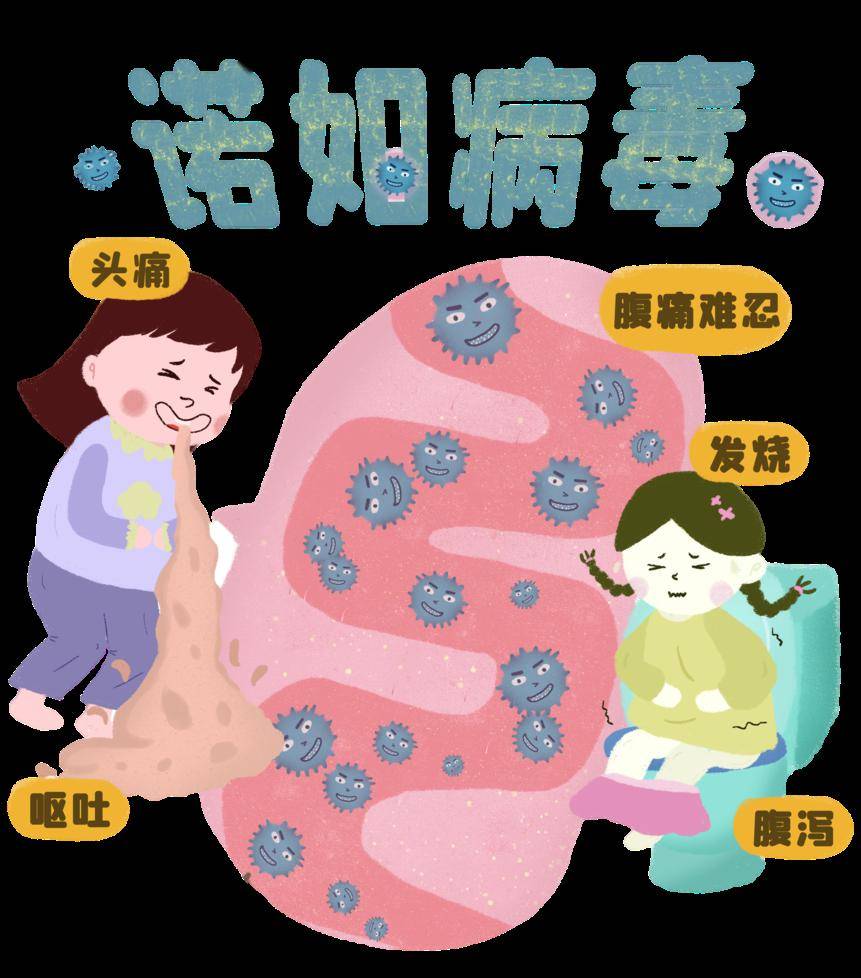 恶心,呕吐还腹泻?当心诺如病毒来袭!如何防范→_消毒_污染_粪便
