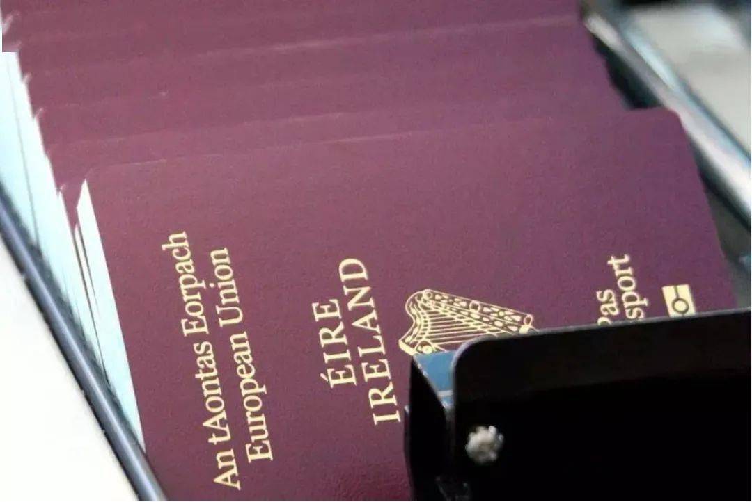 爱尔兰护照更新猎狼犬作为设计理念被引入