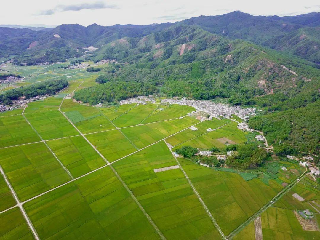乡村振兴景谷勐班全面改善人居环境倾力打造美丽乡村