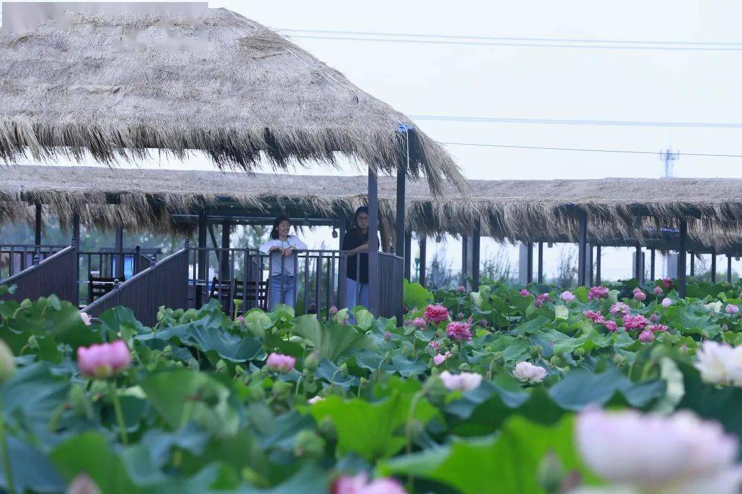 旅游_景区_双峰