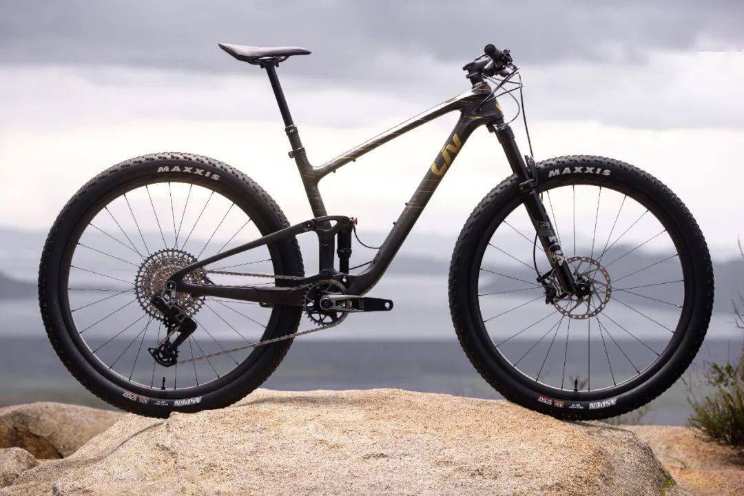 【上新了liv】第三代 pique advanced 29_女性_技术_自行车