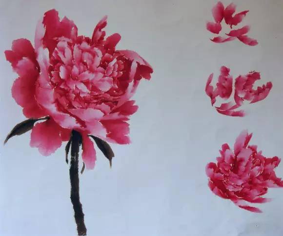 国画基础教程:写意牡丹的画法(附视频教程)_花瓣_笔尖_变化