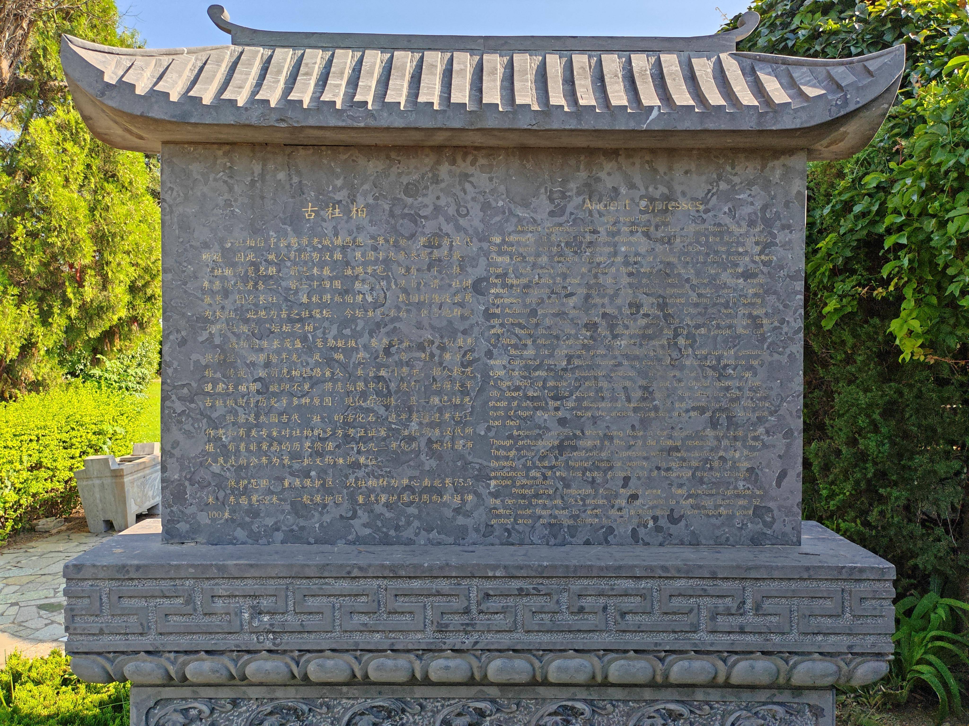 植树节快来看河南各地古树有的树龄已达2700多年