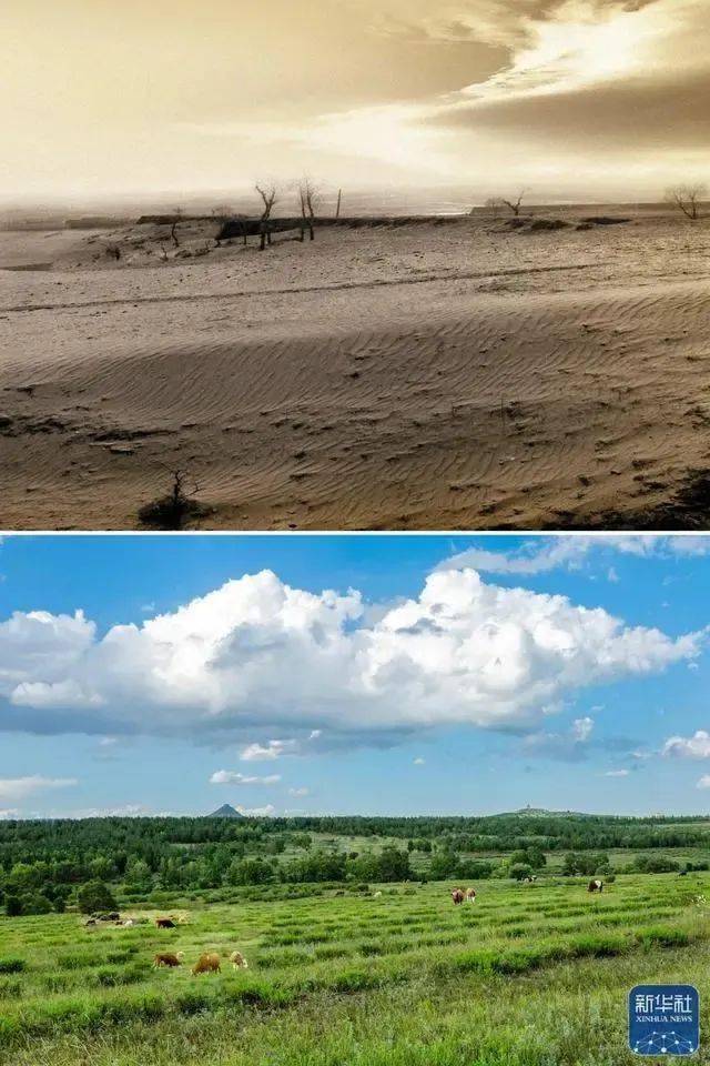 毛乌素沙漠前后对比图片