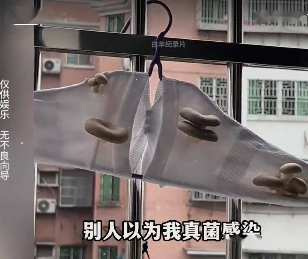 比如一双真菌白袜.比如一件貂绒外套.比如一块泼墨砧板.