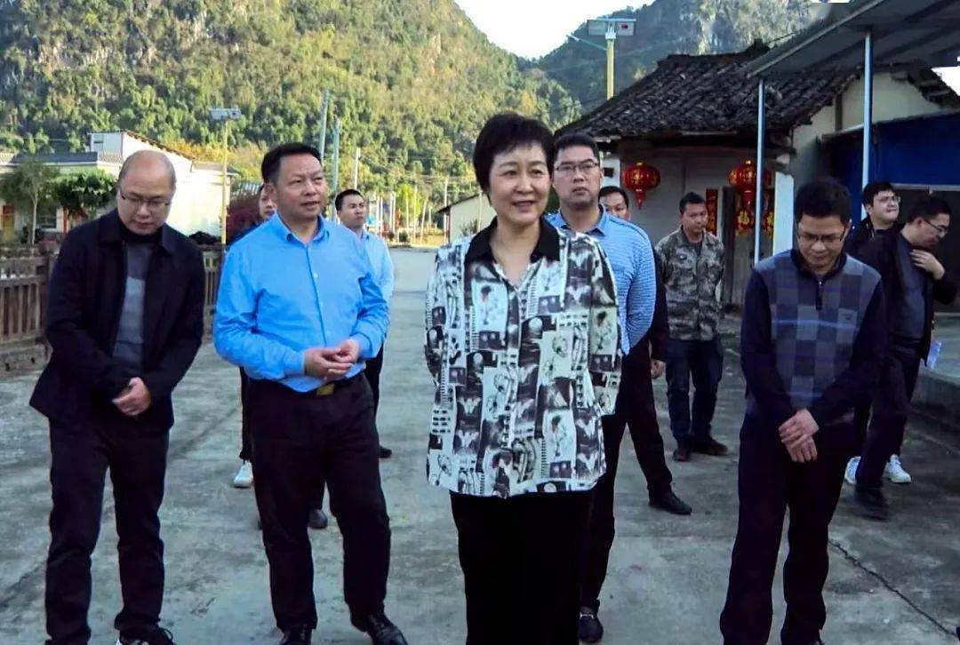 罗海俊调研大塘镇枫湾镇百千万工程典型镇村选树培育工作