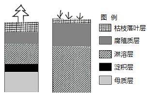 微专题 草原和森林土壤有机质的差异