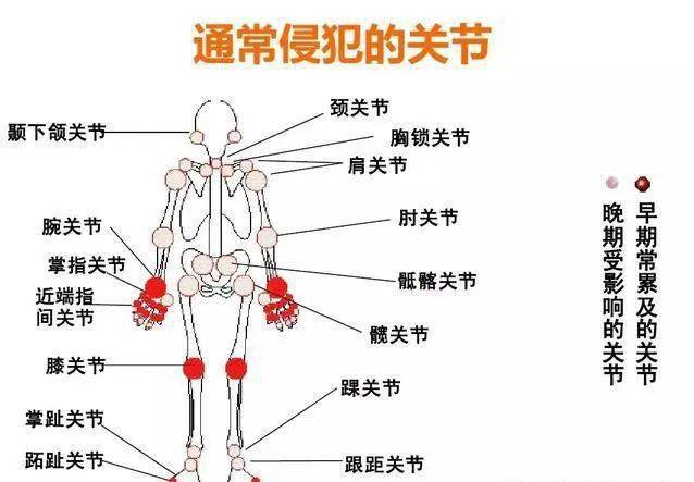 金小鸥讲健康