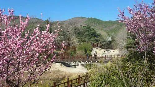 樱桃沟与退谷周家花园