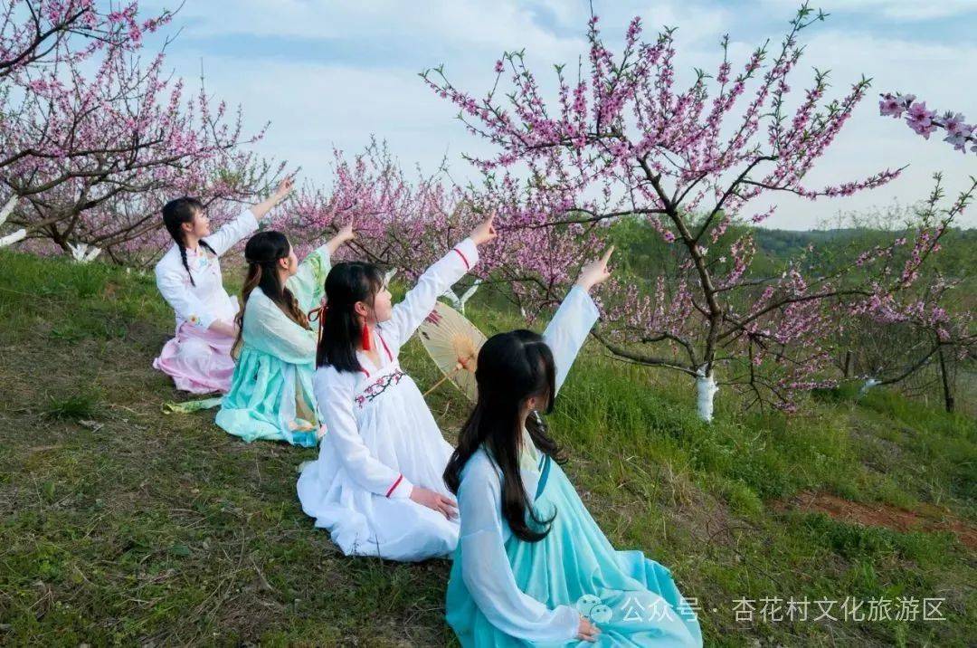 第九届杏花村文化旅游节即将启幕_活动_贵池区_内容