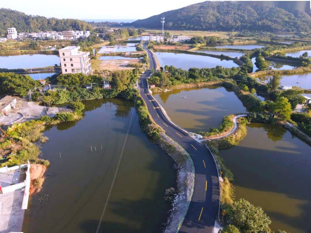 精神文明创建惠东黄埠交通基础设施焕新颜为百千万工程铺筑快车道