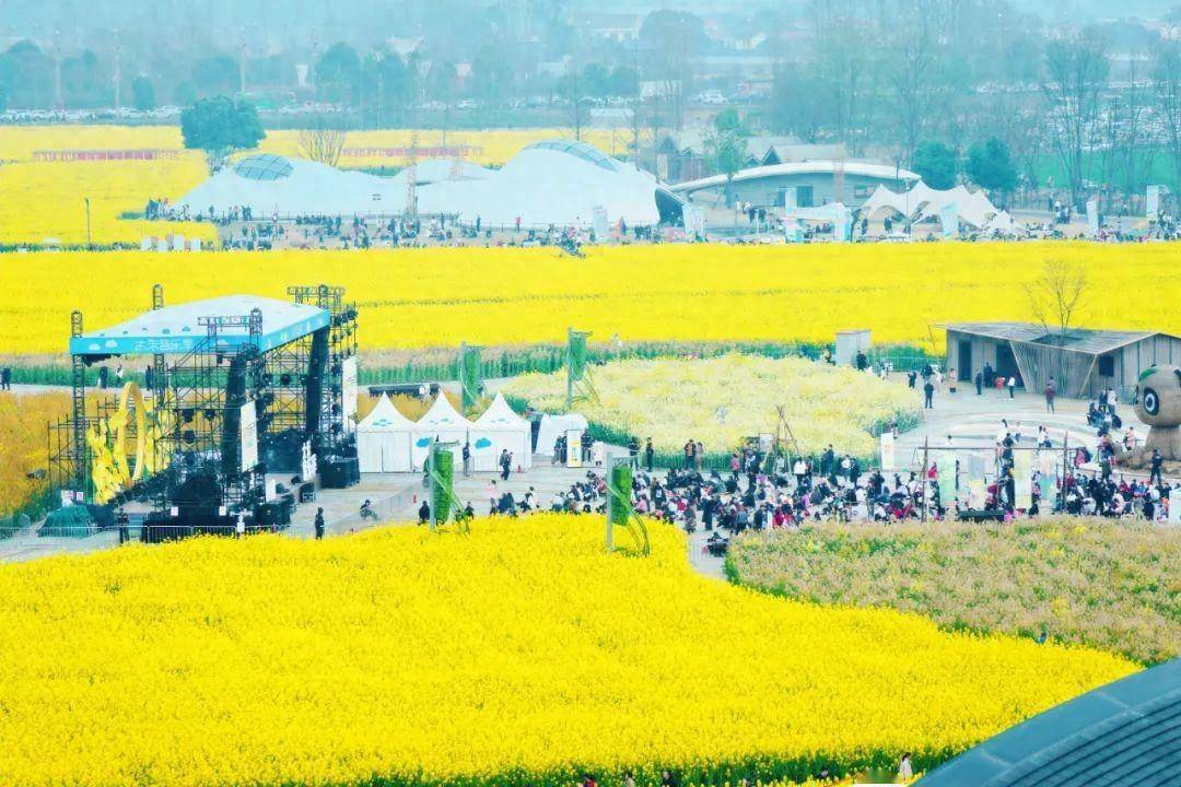 15万天府农博园火爆出圈