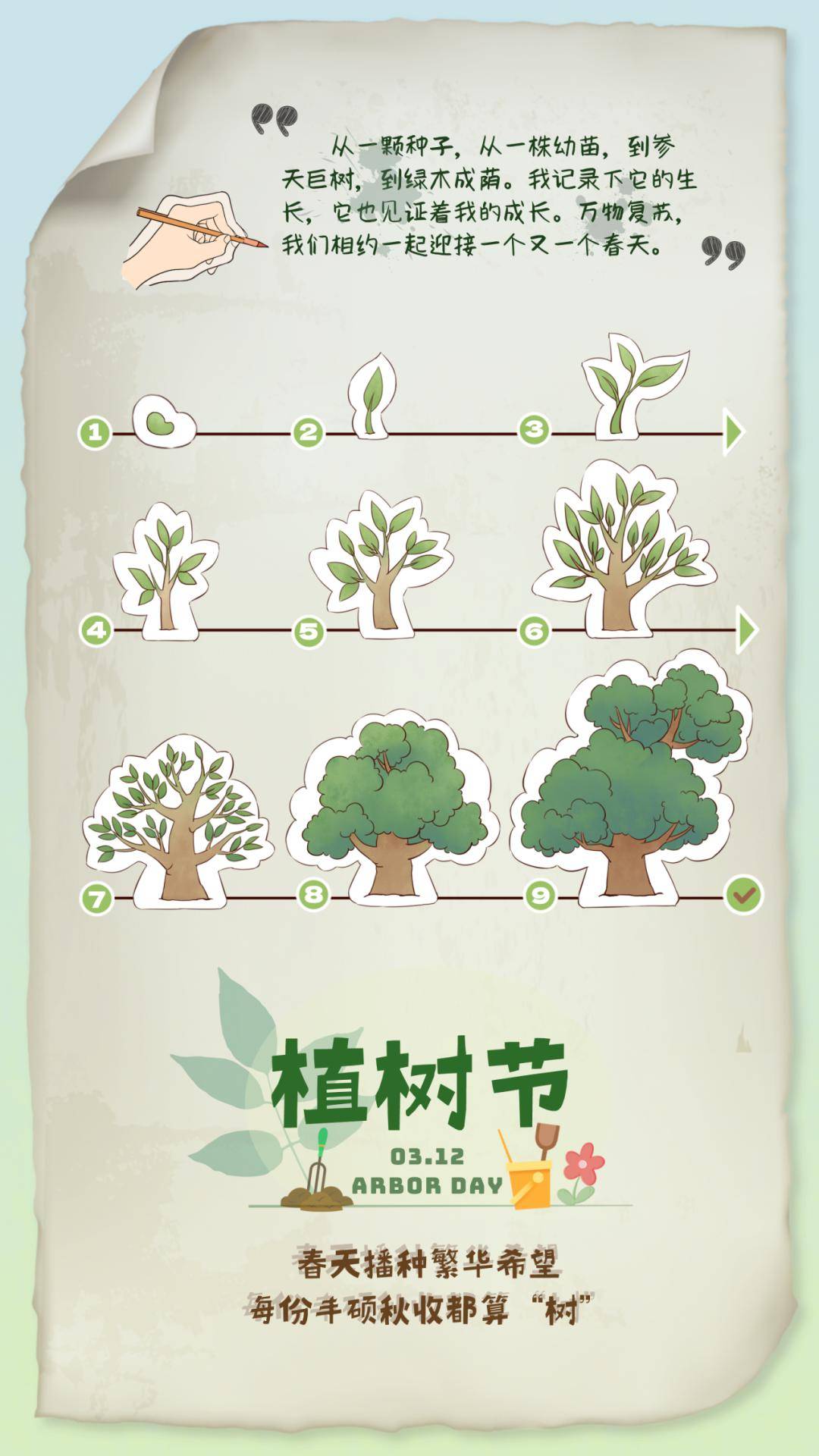 植树节丨shnu常见树木图鉴一键开启自然奇遇