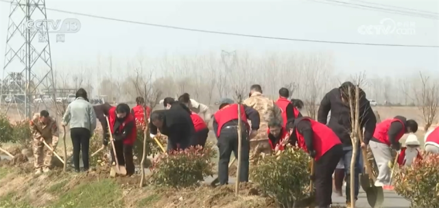 完美电竞春风催新绿 全国各地积极开展义务植树活动(图2)