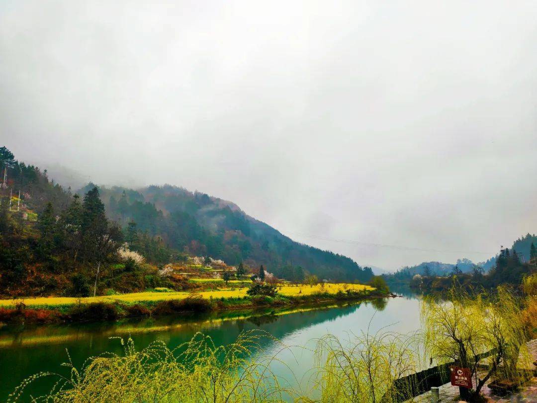 台江县老屯乡春色美踏青赏花两相宜