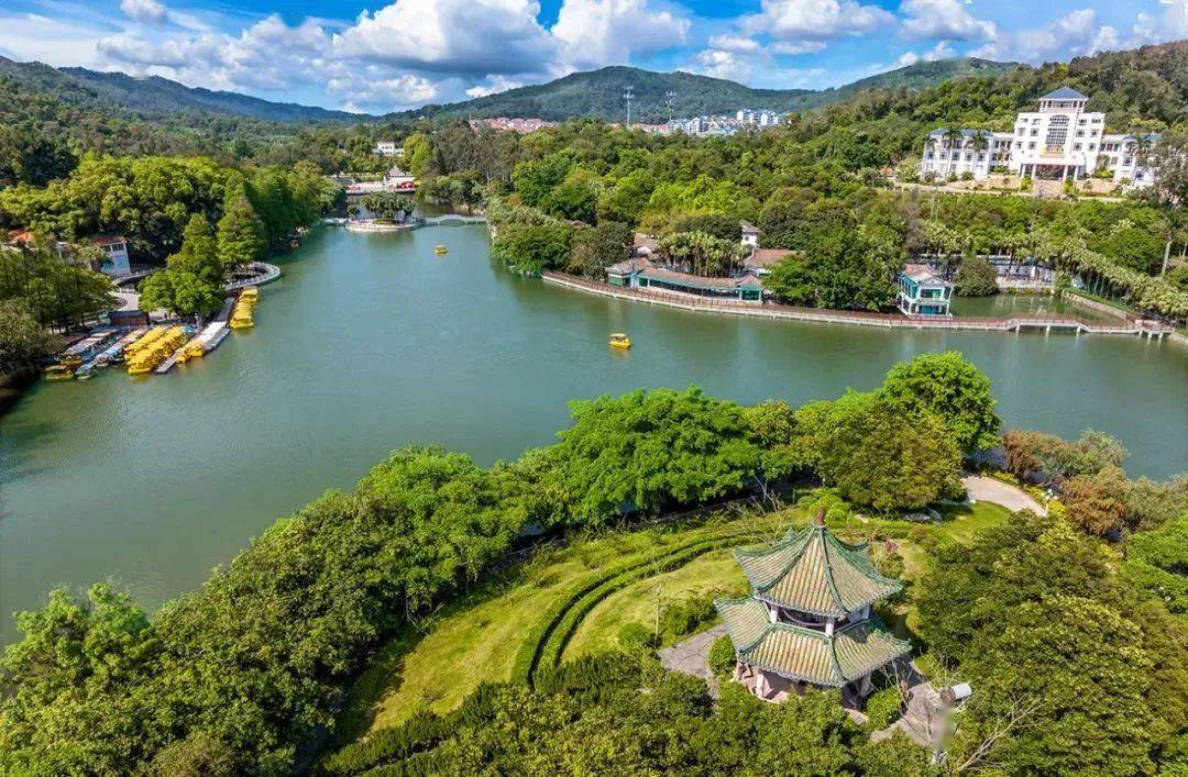 为新会高质量发展厚植生态底色新会区开展2024年五级林长联动义务植树