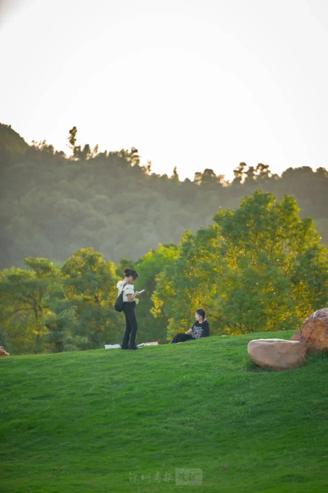 阳光「限时返场」,出去露营正正好~_公园_宝安_深圳