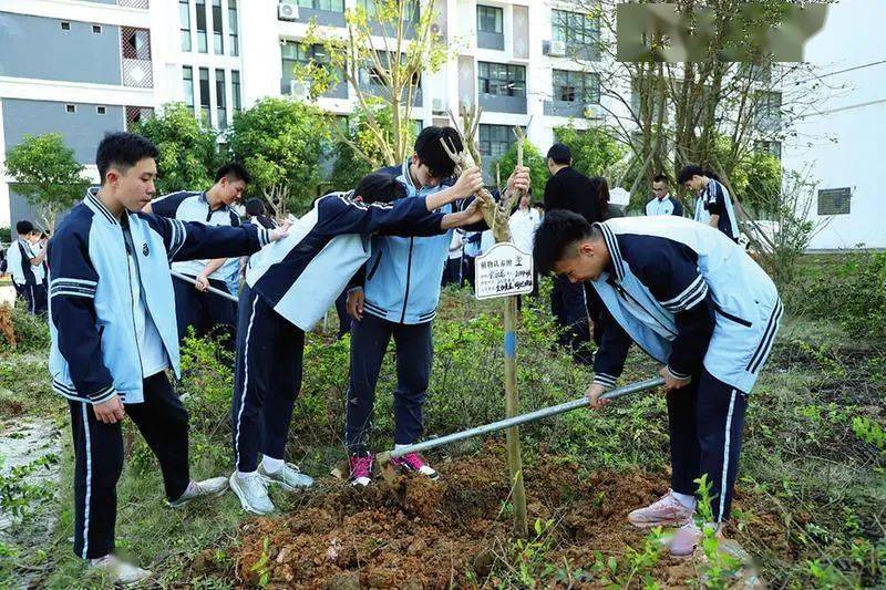 植此青绿拥抱春天南宁市教育系统开展植树活动以实际行动爱绿护绿