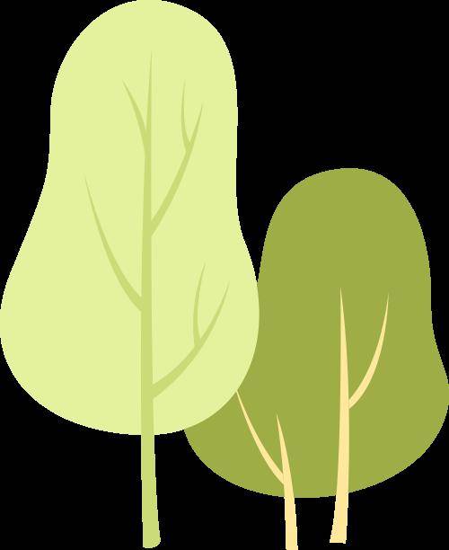 绝了全网刷屏的语文课本封面信睿也有