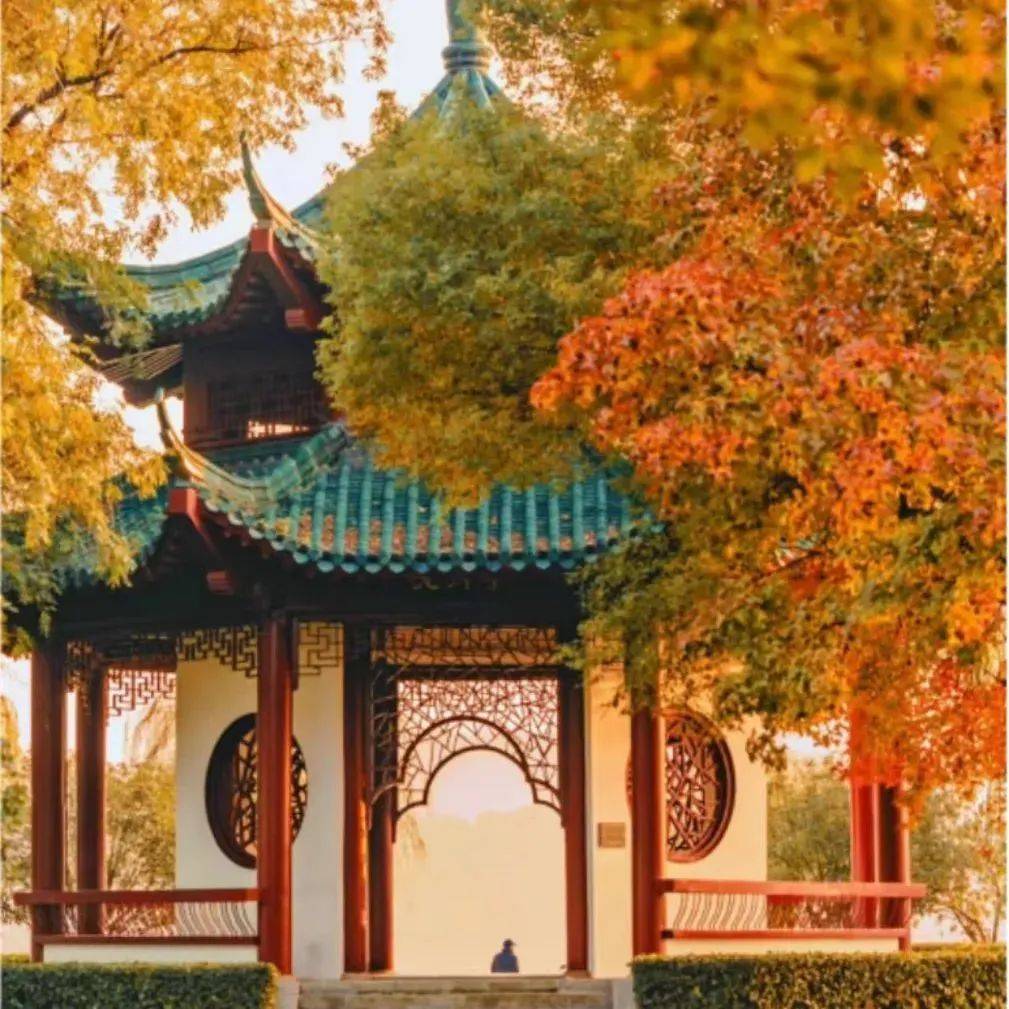 报名和交通广播一起去武汉赴樱花之约