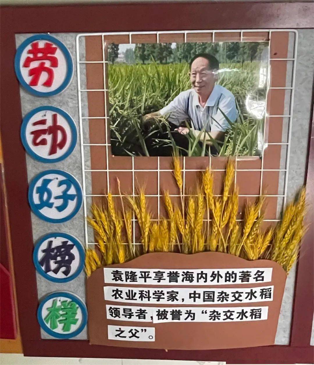 中国梦劳动美兴城市南一小学开展一班一特色班级文化墙评比活动