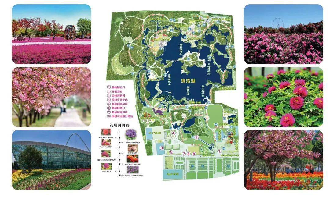 石家庄植物园游览路线图片