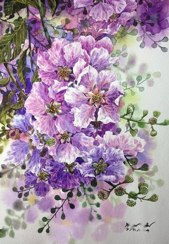 他画的每一朵水彩花卉都充满了生命力!_毕业_李晓冬_交流