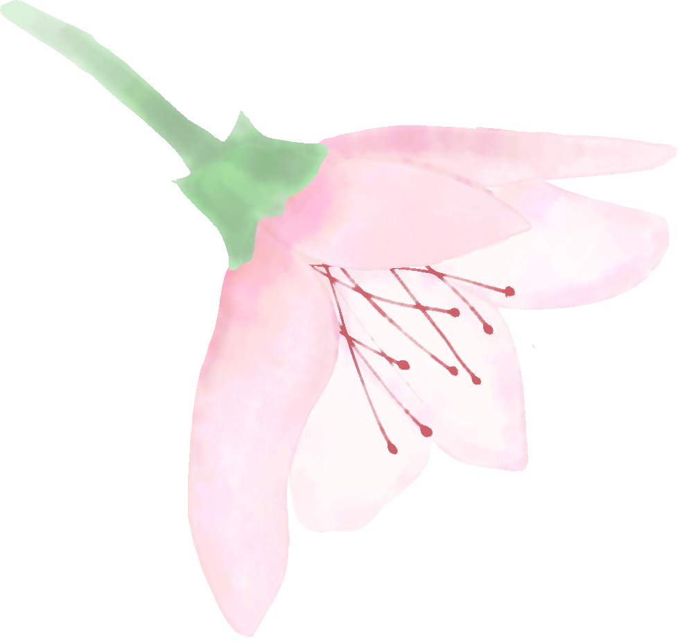 运河桃花节快来添加桃花节表情包附出行及停车指南