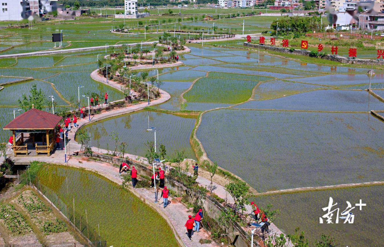 五华县湖中村开展农村精神文明创建五大行动_乡村_建设_群众