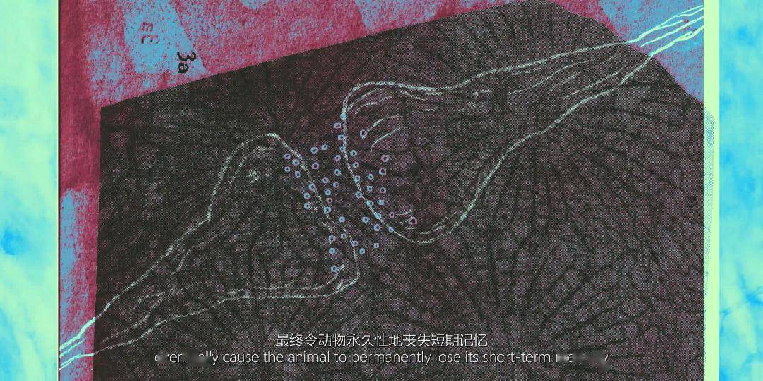 新艺见纠缠的本体论亲密的后人类伦理从月之滨说起