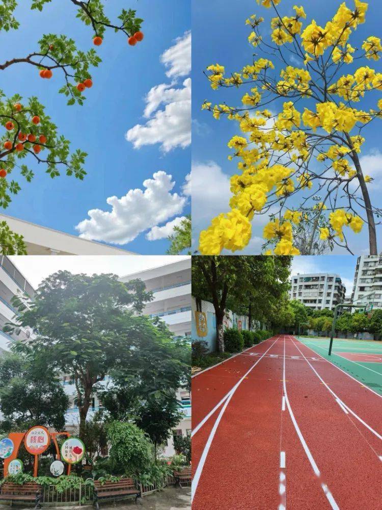 乘势而上优质发展丽日小学教育集团召开新学期校长工作会议