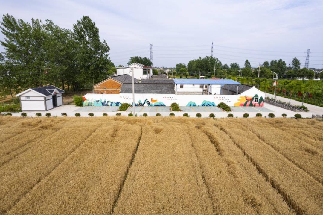 首季争优大仪镇深入打好净土保卫战