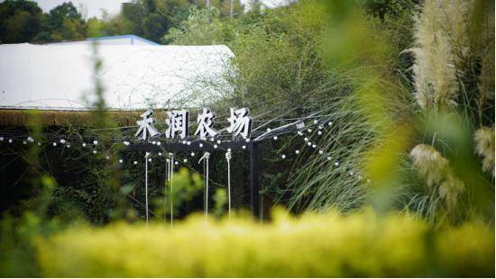 赴一场春日盛宴!开福春游推荐线路来了