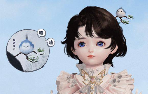 这只蓝白色羽毛的小鸟喜欢站在高高的松枝上,蹦蹦跳跳,四处张望.